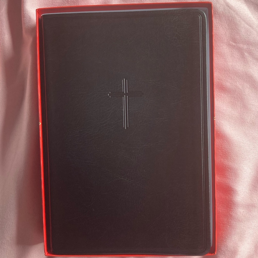 Black Holman King James Study bible